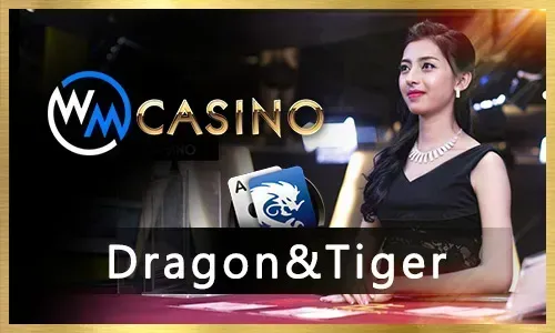 slotvip Live Poker